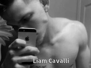 Liam_Cavalli