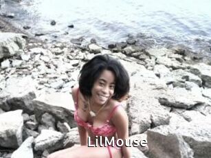 LilMouse My Porno Stash