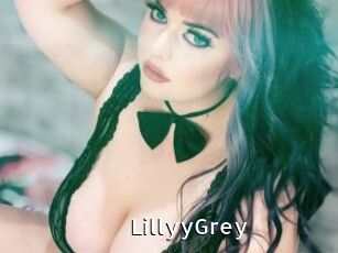 LillyyGrey