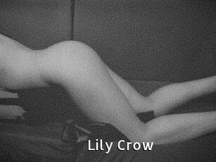 Lily_Crow