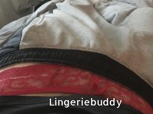 Lingeriebuddy