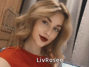 LivRosee My Porno Stash