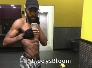 Lledys_Bloom My Porno Stash