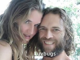 Luvbugs