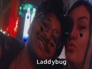 Laddybug