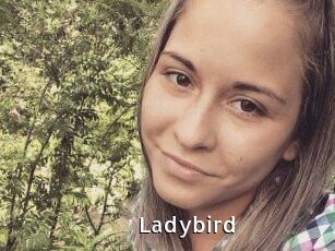 Ladybird