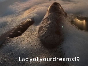 Ladyofyourdreams19