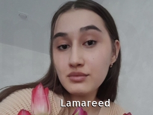 Lamareed
