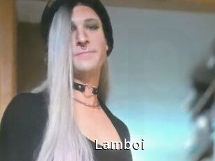 Lamboi