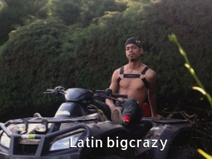 Latin_bigcrazy