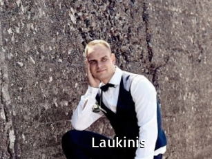 Laukinis