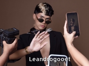 Leandrogooet