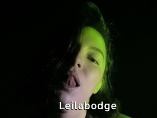 Leilabodge