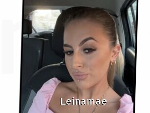 Leinamae