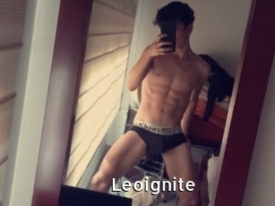 Leoignite