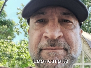 Leoncarpita