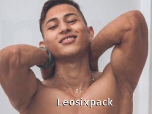 Leosixpack