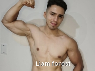 Liam_forest
