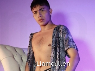 Liamcullen