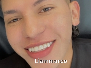 liammarco My Porno Stash