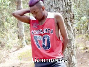 Liammorriso