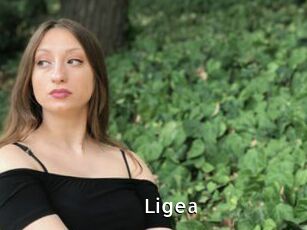 Ligea