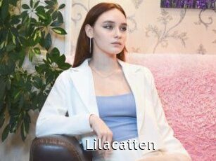 Lilacatten