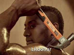 Lildollar