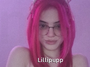 Lillipupp