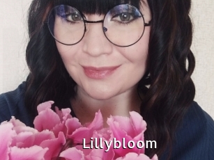 Lillybloom