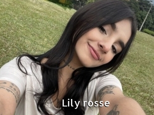 Lily_rosse