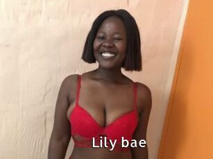 Lily_bae