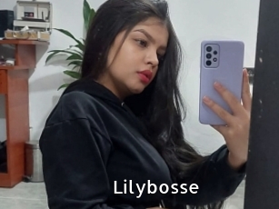 Lilybosse