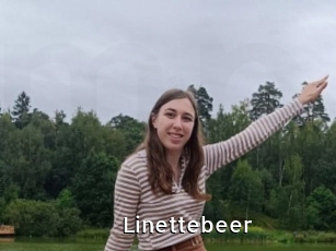 Linettebeer