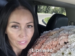 lipawild My Porno Stash