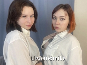 Lisaandmika