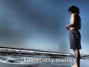 Littlecurly_marley