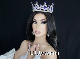 Littlesamm