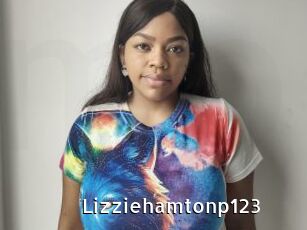 Lizziehamtonp123