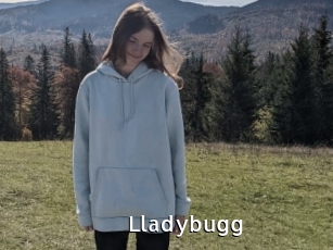 Lladybugg