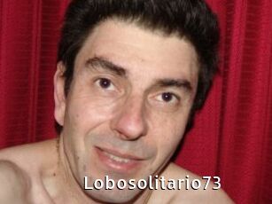 Lobosolitario73
