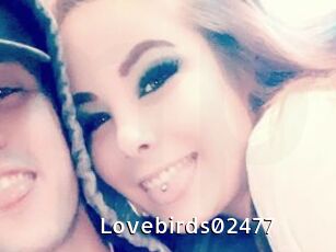 Lovebirds02477