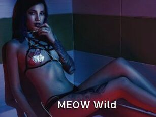 MEOW_Wild