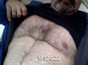MS2022