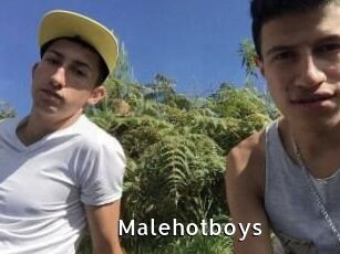 Malehotboys