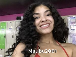 Malibu2001