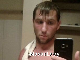Mason_Levy