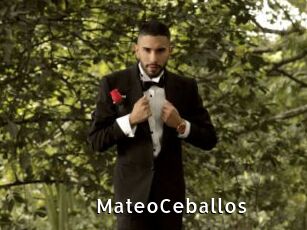 MateoCeballos