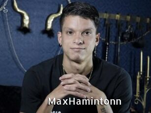 MaxHamintonn