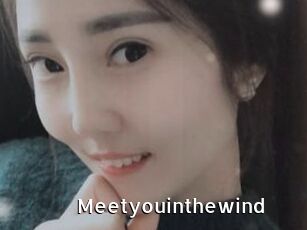 Meetyouinthewind
